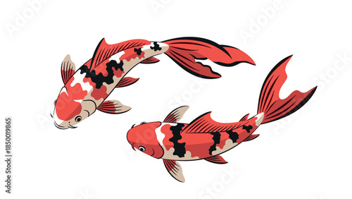 Two colorful koi fish swimming in harmony on a white background
