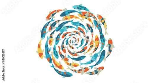 Colorful spiral of koi fish in motion: vibrant aquatic pattern on white background