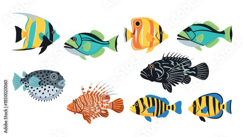 Colorful tropical fish collection featuring unique patterns and vibrant marine life