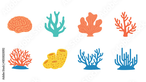 Underwater ocean life: colorful coral collection in flat design