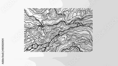 Topographic Map with Contour Lines and Terrain.