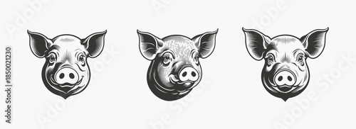 Pig heads silhouettes set, black and white vector illustration