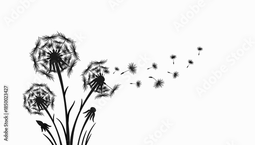 Wild flower dandelion in a vector style isolated vector flower for background texture