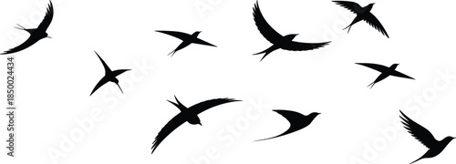 Flying bird silhouettes collection graceful swallow seagull poses black animal vector illustration isolated on white background nature design