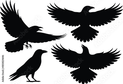 Raven crow silhouette collection flying and standing poses black bird vector illustration isolated on white background gothic nature design
