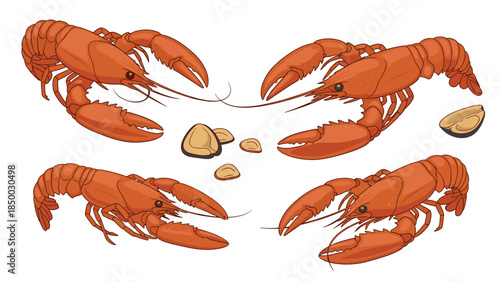 Illustration depicts several crayfish with claws extended and scattered shells, showcasing these freshwater crustaceans in detail.