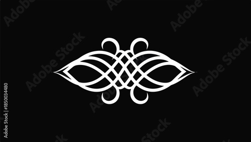 Intricate White Design Element on Black Background Vector Illustration