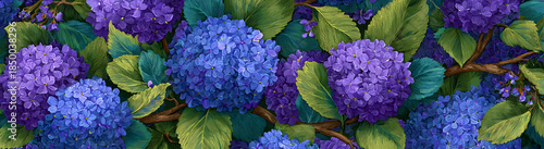 A highly detailed hydrangea banner complete with leaves and branches.