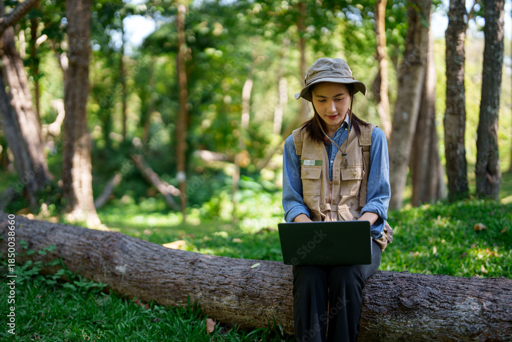 Fototapeta premium Adult Asian woman botanist conducts field research using laptop outdoor explore nature document findings scientific study forest environment