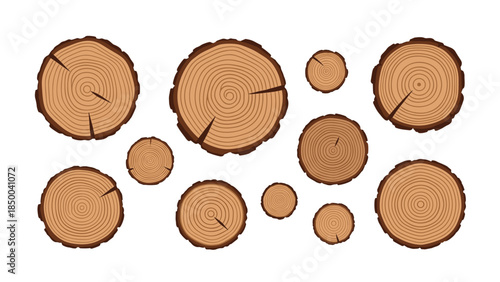 Collection of various sized wooden log slices with visible growth rings arranged against a white background.