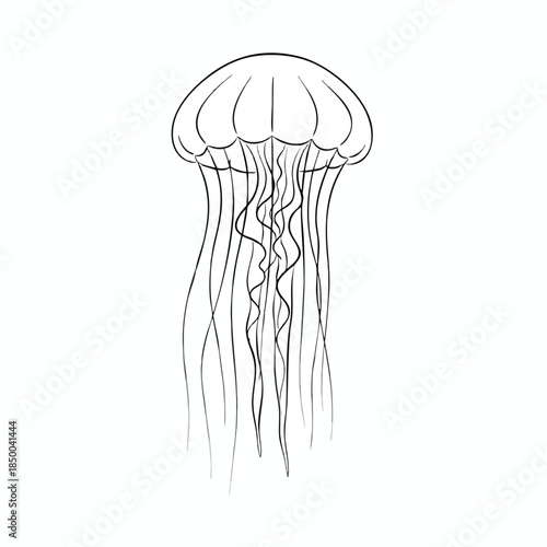 A minimalist line drawing of a jellyfish with a bell and trailing tentacles