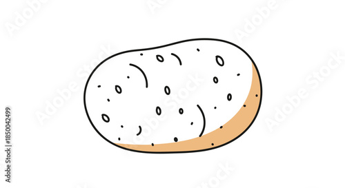 Simple hand drawn illustration of potato with organic shape and dotted texture for grocery and cooking theme web.