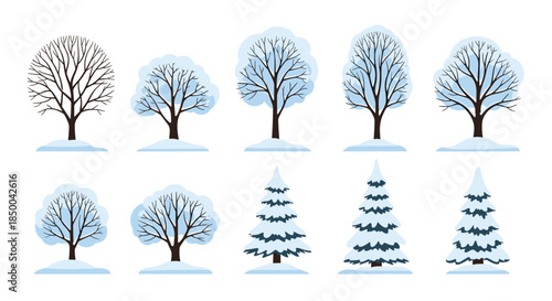 Various winter tree illustrations covered in white snow, featuring a mix of deciduous and evergreen species in a simple flat design style.