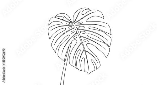 Elegant monstera leaf illustration in a simple black line art style with detailed cutouts, isolated on a white background for decor.