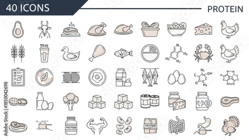 Protein and Nutrition Icons A Collection of Healthy Food and Fitness Symbols