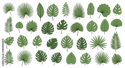 Extensive collection of thirty-six unique leaf illustrations featuring tropical and common species in various green shades.