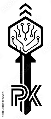 PK key vector illustration of an abstract background