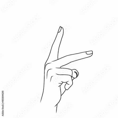 Hand gesture showing two fingers extended forward.