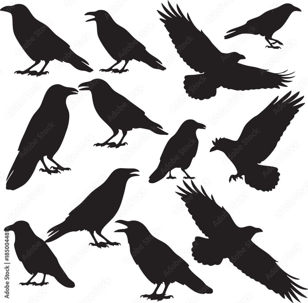 Fototapeta premium black silhouettes of various crows in different positions