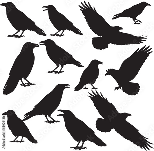black silhouettes of various crows in different positions