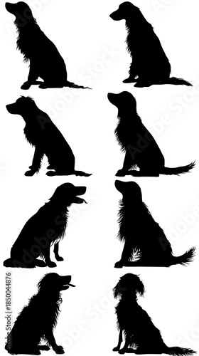 Eight silhouette dogs in various sitting poses against a bright white background