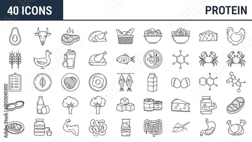 Sleek collection of 40 minimalist outline icons depicting diverse protein sources, nutritional supplements, and health elements for modern food and wellness design projects