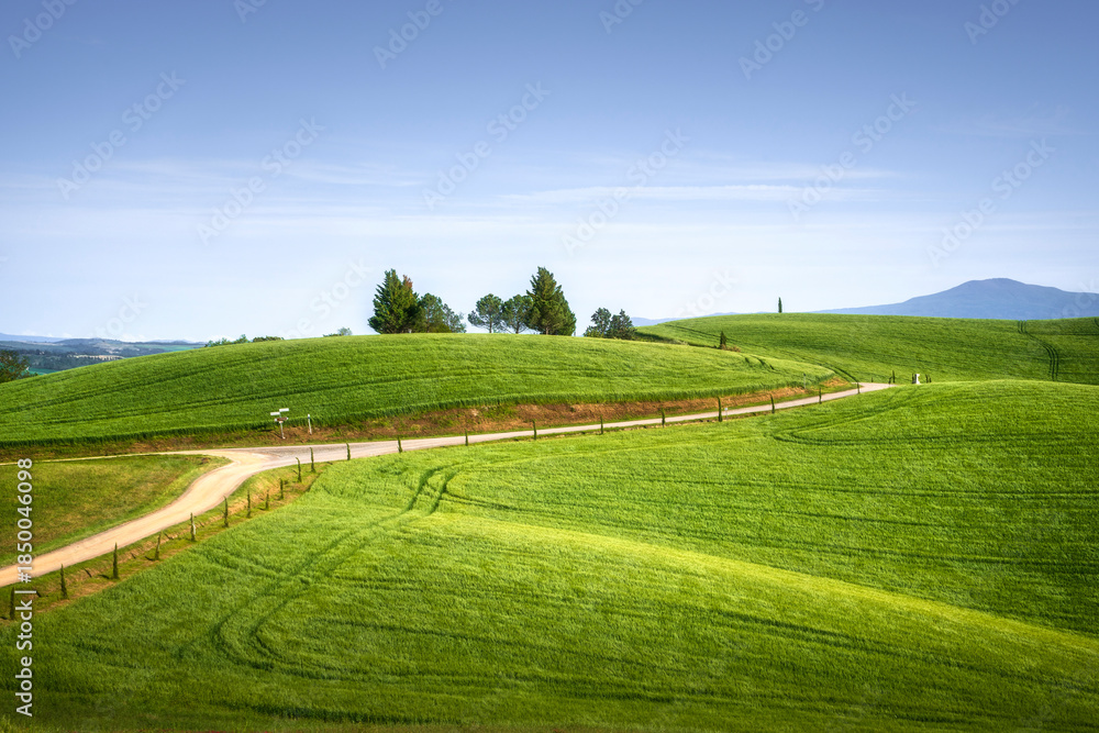 Fototapeta premium Via Francigena Trail in Siena Rolling Hills, Tuscany, Italy