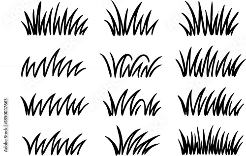 Fresh green grass vector set with blades, lawn borders, natural meadow silhouettes, decorative turf icons for landscape design, eco backgrounds, and nature graphics.