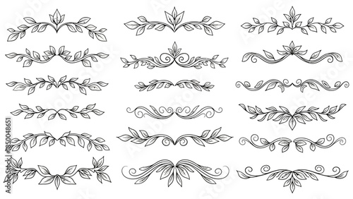 Elegant Hand Drawn Leaf and Vine Floral Dividers Set with Decorative Swirls and Branch Flourishes