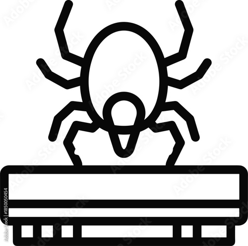 Spider on computer keyboard