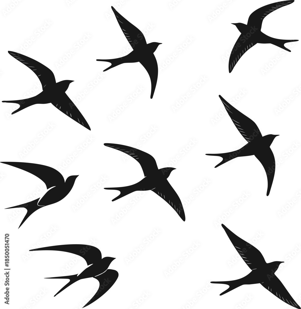 Fototapeta premium Flock of Swallows in Flight Silhouette bird flying
