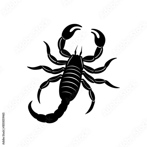 scorpion isolated on white background