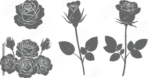  floral vector design featuring a seamless pattern and set of black and white rose illustrations with leaves and nature elements for elegant spring decor