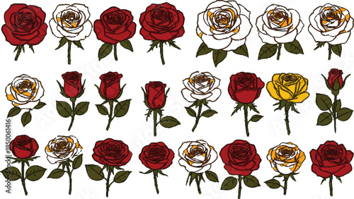 Vector illustration set of red roses and poppies in a seamless floral pattern featuring spring garden blossoms, summer leaves, and a nature-inspired design collection for art and beauty