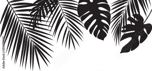 Tropical Palm Leaf Silhouette Set – Minimal Botanical Vector Icons