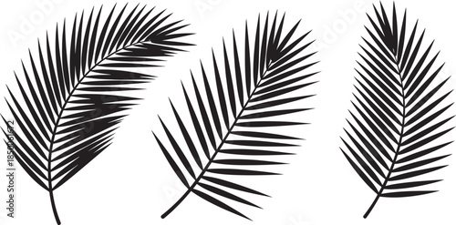 Tropical Palm Leaf Silhouette Set – Minimal Botanical Vector Icons