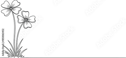 Black and white line drawing of daffodils