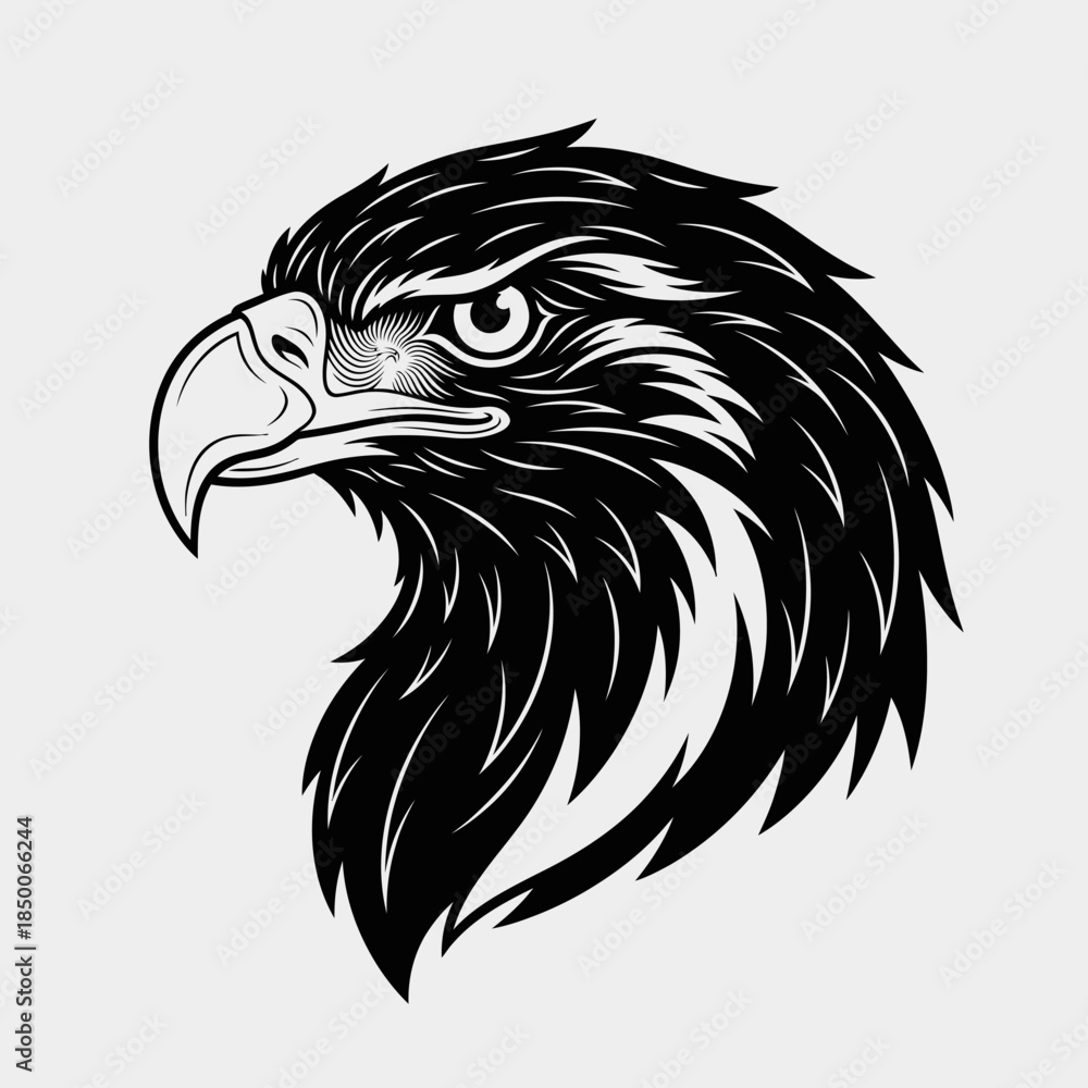Fototapeta premium Black and White Eagle Head Illustration.