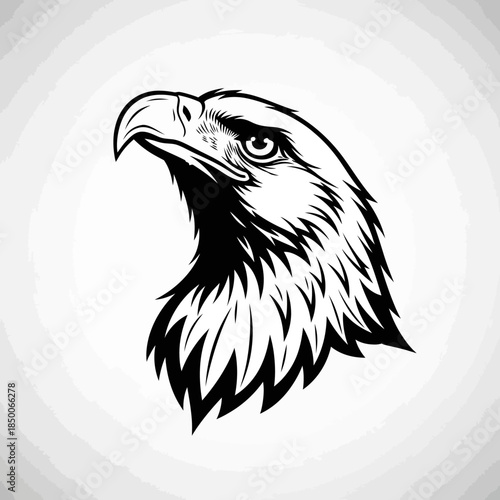 Black and White Eagle Head Illustration.