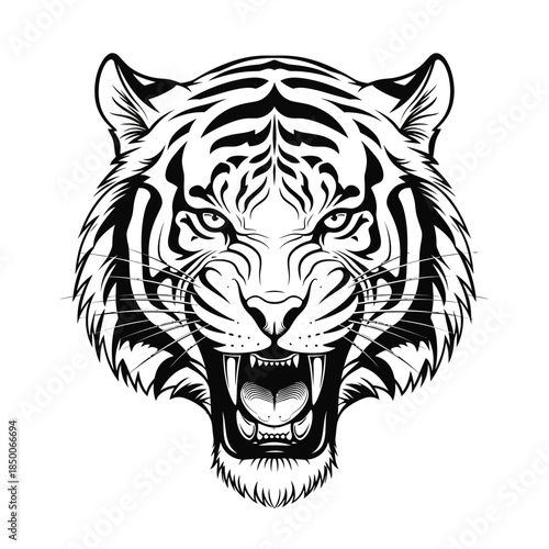 Black and White Tiger Head Illustration.