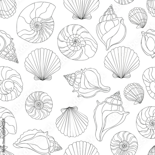 Black and white seashells, various types, randomly scattered on a white background
