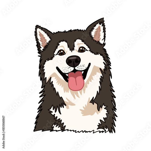 Cute Alaskan Malamute Dog Head with Tongue Out and Fluffy Fur, Transparent Background