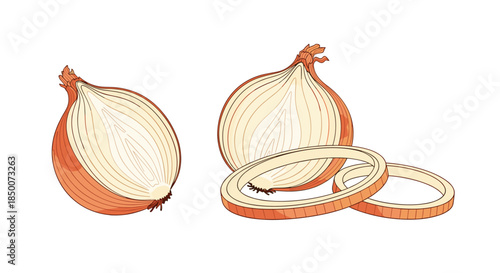 Group of red onions including halved bulbs and several round slices shown with detailed textures on a white background for culinary concepts.