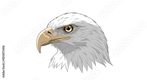 Majestic bald eagle head is shown in a detailed vector illustration capturing the fierce expression and iconic white feathers.