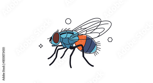 Detailed illustration of a common house fly with blue and orange markings and translucent wings standing against a clean white background.