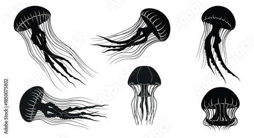 Silhouettes of jellyfish swimming in ocean