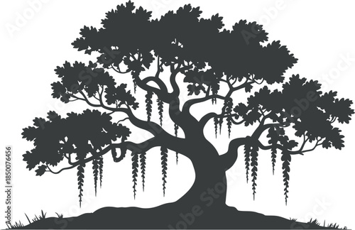 Spanish Moss and Live Oak Tree Silhouette Vector Illustration