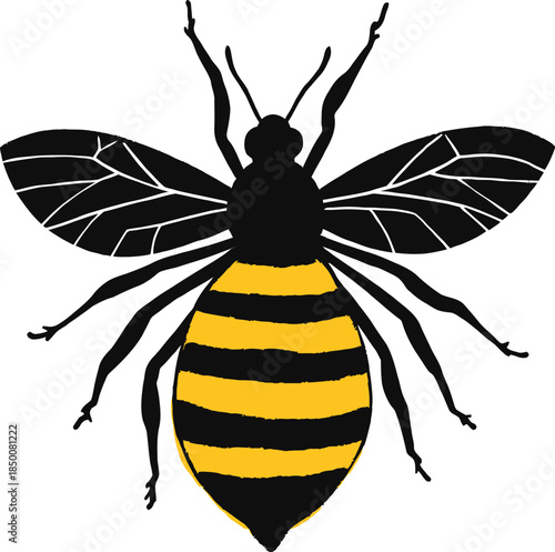 Vector art of an artistic illustration of a bee with spread wings, isolated on white background