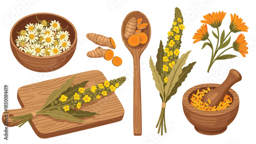 Assortment of medicinal herbs and spices including chamomile, turmeric, goldenrod, and calendula displayed for natural health remedies.