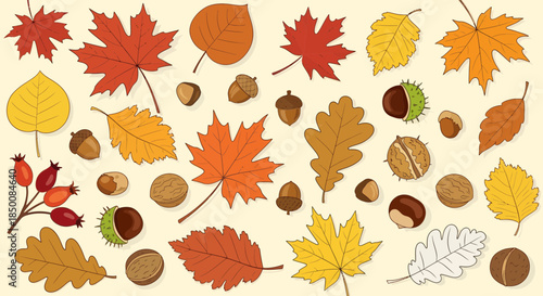Autumn Leaves and Nuts Scattered on Beige Background
